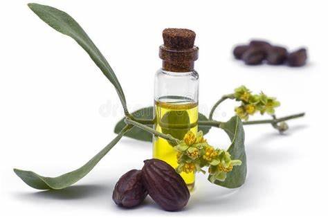 Nourishing Radiance: Unveiling the Wonders of Jojoba Oil for Your Skin.